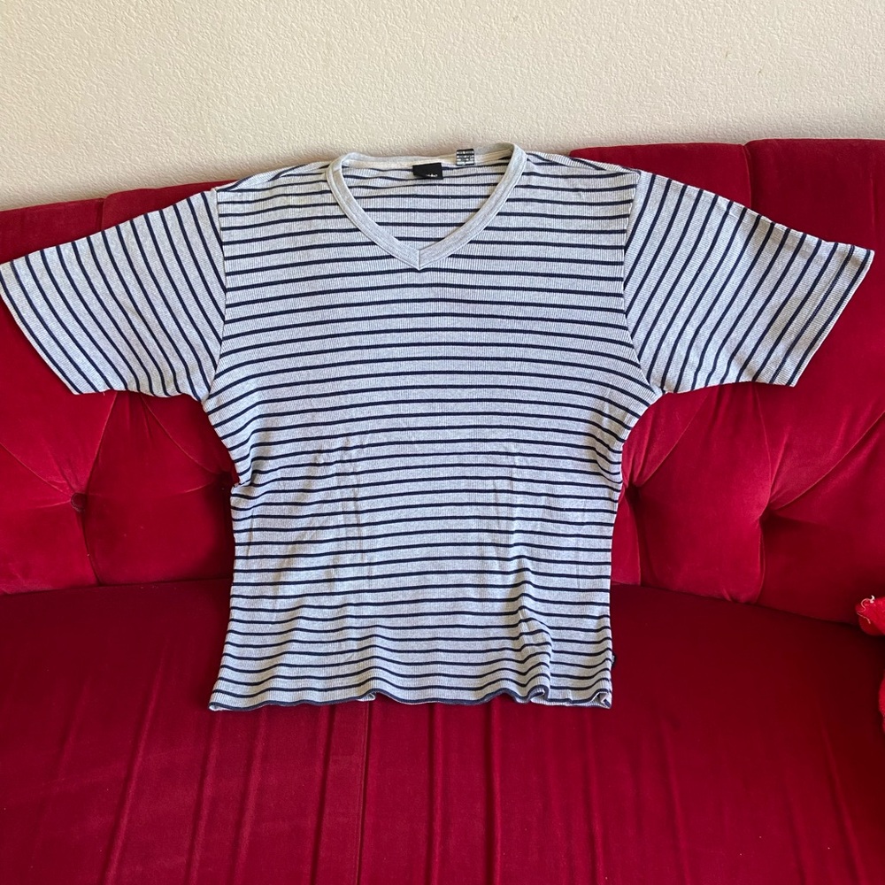 Mossimo Mens Striped V Neck Tee - Gray & Navy